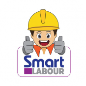 Smart Labour 2